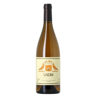 Mai et Kenji Hodgson - LNDM 2023