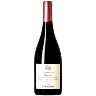 Errazuriz - Chili - Aconcagua Costa Pinot Noir 2021 – Sku: 1185021 – 19