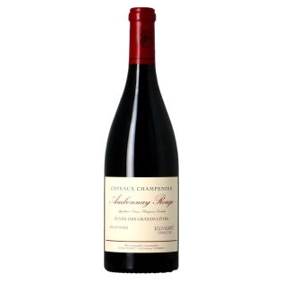 Egly Ouriet - Ambonnay Rouge 2022 - Coteaux Champenois Vieilles Vignes