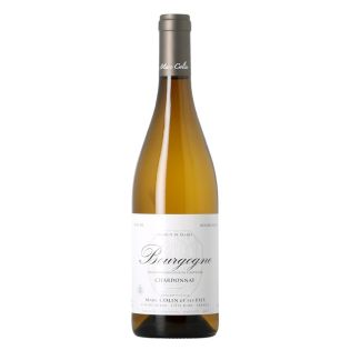 Marc Colin - Bourgogne blanc 2023 – Sku: 296823 – 24