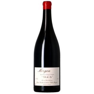 Jean Foillard - Magnum Morgon Côte du Py 2022