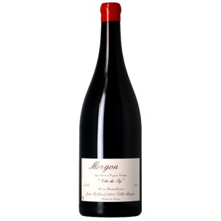 Jean Foillard - Magnum Morgon Côte du Py 2024