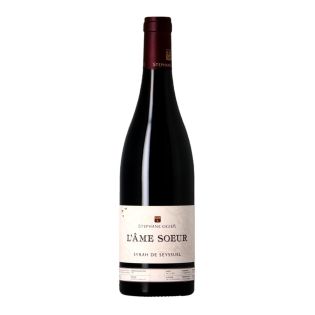 Stéphane Ogier - L’Ame Soeur 2022