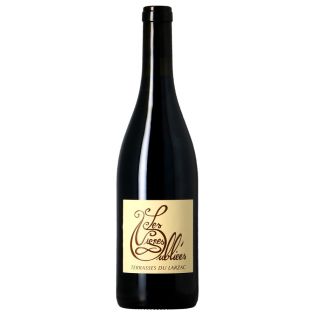 Les Vignes Oubliées - Rouge 2024