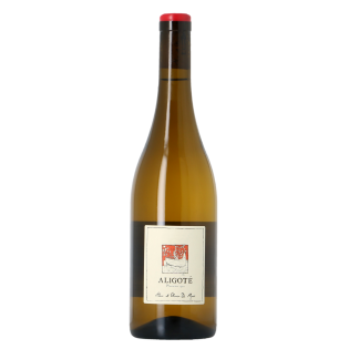 De Moor - Bourgogne Aligoté 2023 - Plantation 1902 – Sku: 80723 – 3