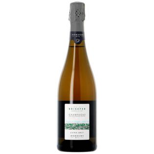 Champagne Dehours et Fils - Brisefer - Réserve Perpétuelle – Sku: 12209 – 5