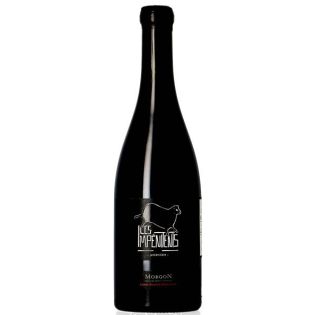 Louis Claude Desvignes - Morgon Javernières 2015