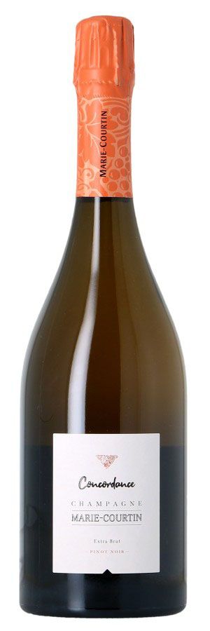 Vacqueyras - Vin rouge du Rhône Sud - Top wines and estates | Les  Passionnés du Vin